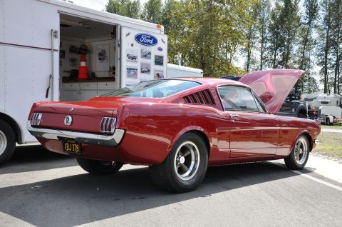 1967 Ford Mustang - George Scarpenti