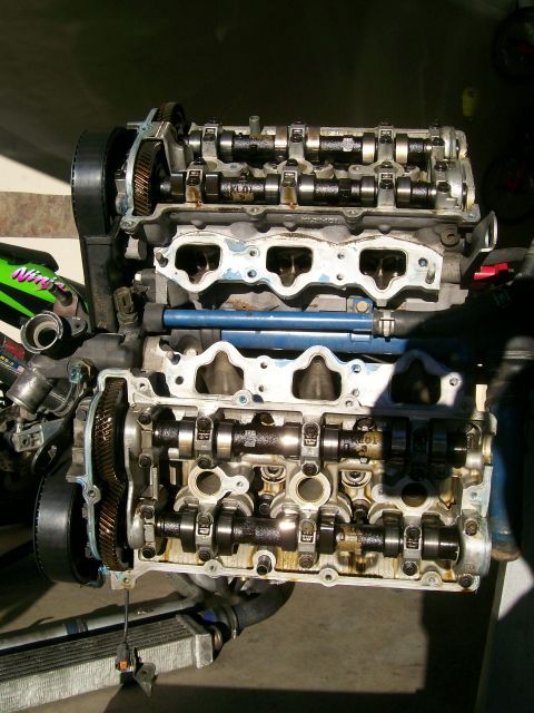 1995 Ford Probe - Close-up view of an engine's internal components, including camshafts and timing gears.