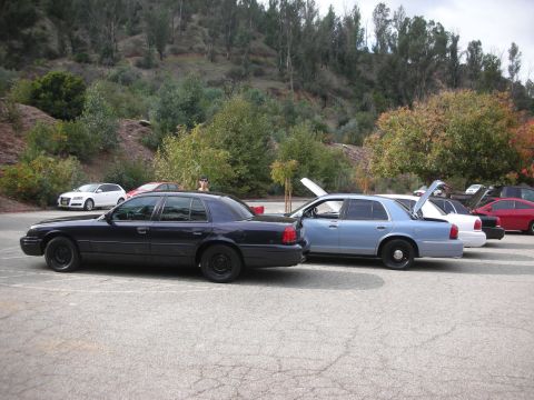 2004 Ford Crown Victoria - Several Ford Crown Victorias are parked in a lot with a wooded hill in the background.