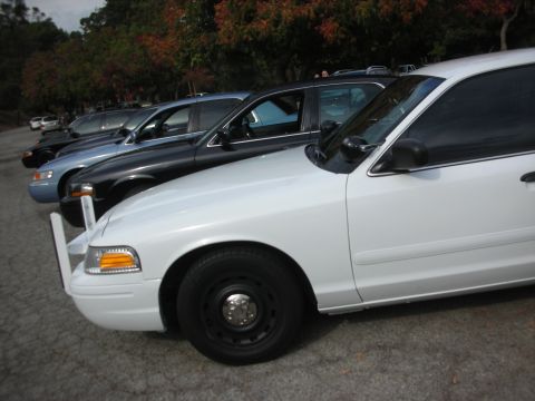 2004 Ford Crown Victoria - Multiple police sedans parked in a row, with a white Crown Victoria in the front.