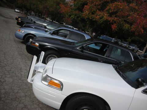 2004 Ford Crown Victoria - A line of police cars, including a white 2004 Ford Crown Victoria in the foreground, are parked in a lot.