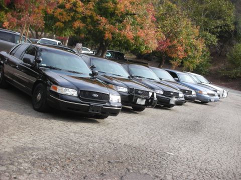 2004 Ford Crown Victoria - Several Ford Crown Victoria Police Interceptors are parked in a line on pavement.