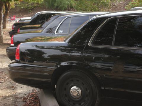 2004 Ford Crown Victoria - Multiple black 2004 Ford Crown Victoria sedans are lined up, showing their side profiles.