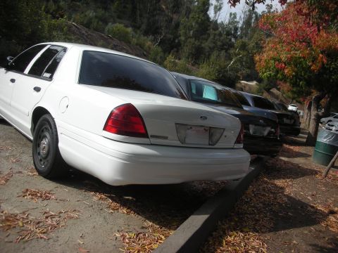 2004 Ford Crown Victoria - A white Ford Crown Victoria is parked in a lot with other vehicles, seen from the rear.
