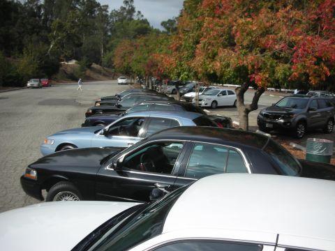 2004 Ford Crown Victoria - A line of cars parked under trees with autumn foliage, including a black Ford Crown Victoria.
