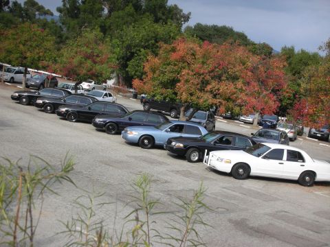 2004 Ford Crown Victoria - A line of police cars, including a white Crown Victoria, are parked in a lot with autumn trees in the background.