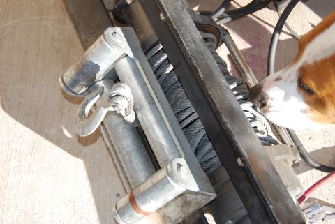 1982 Ford Bronco - A dog's nose is close to the cable of a winch, which is mounted on a metal frame.