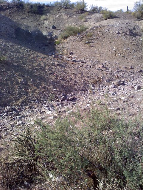 1996 Ford Bronco - A dry, rocky landscape with sparse vegetation and a watermark indicating the source of the image.