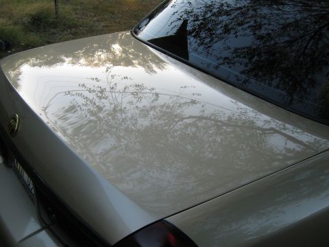 2000 Mercury Grand Marquis - Reflection of trees and sky on the trunk and rear window of a car.