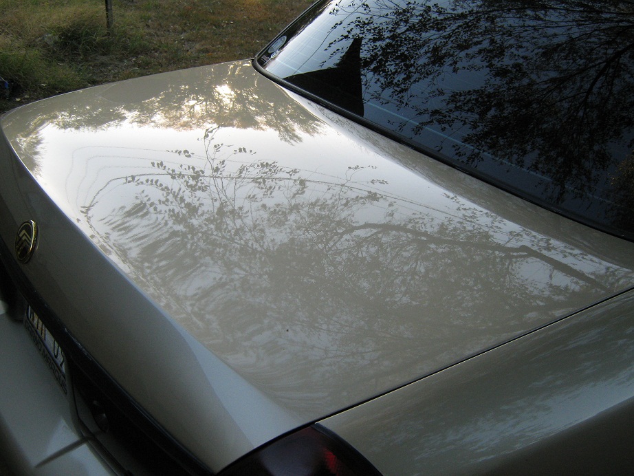 Reflection of trees and sky on a car's trunk and rear window