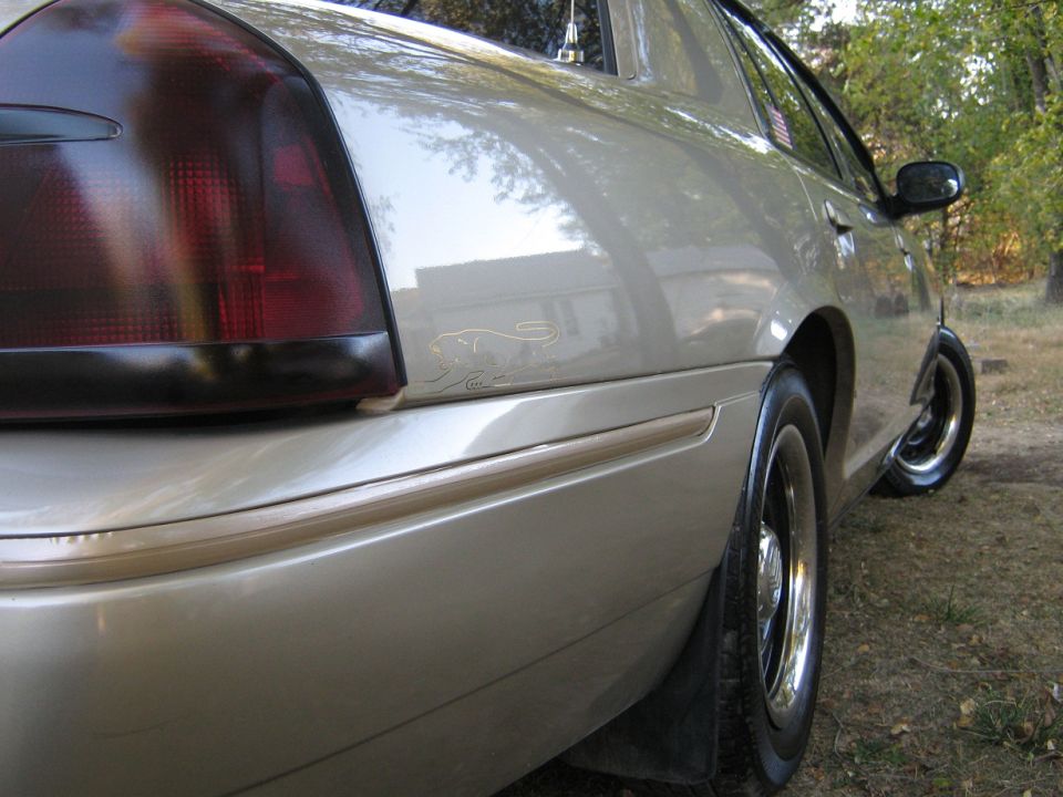 Silver sedan's rear quarter panel with tinted taillight and a jaguar emblem. Mud flap visible