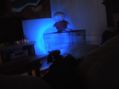 1996 Ford Bronco - A plush toy is illuminated by a blue light source, placed on top of a wire dog crate in a dimly lit room.