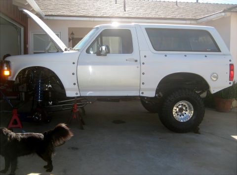 1996 Ford Bronco - White 1996 Ford Bronco on jack stands with hood open, undergoing maintenance.