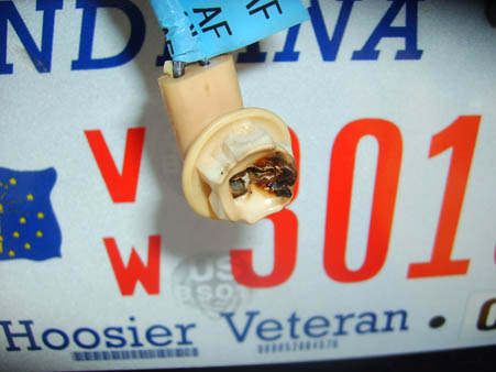 2002 Ford Crown Victoria - Close-up of a burnt electrical connector against an Indiana license plate.