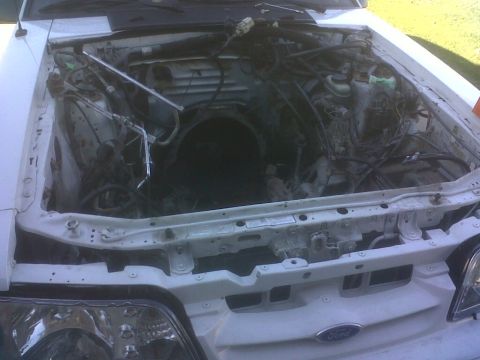 1989 Ford Mustang - The engine bay of a white car is shown with the engine missing.