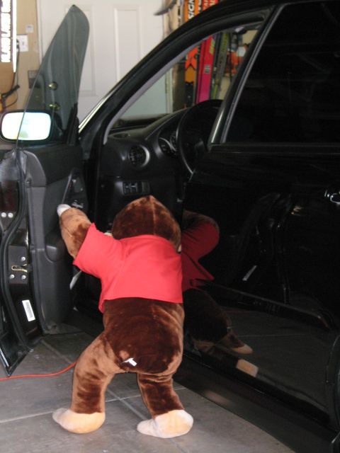 2005 Subaru Impreza - A stuffed bear is climbing into the driver's side of a black car.