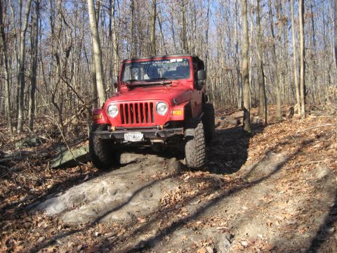 1991 Ford Bronco - A red Jeep Wrangler navigates a challenging off-road path through a forest with bare trees.