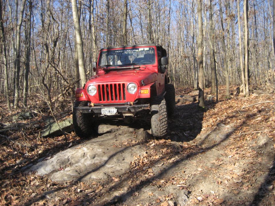 Red Jeep Wrangler driving on a rocky, wooded trail