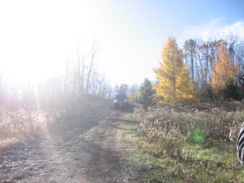1991 Ford Bronco - An off-road vehicle navigates a dirt path through a wooded area during autumn.