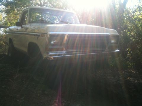 1978 Ford Bronco - This 1979 Ford F-Series pickup truck is seen from a 3q-front angle, partially obscured by trees and sunlight.