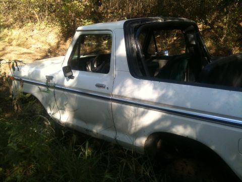 1978 Ford Bronco - This white 1978 Ford Bronco is parked off-road, surrounded by trees and overgrown vegetation.