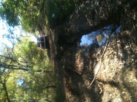 1978 Ford Bronco - A red and black SUV is partially submerged in water, stuck on a muddy bank surrounded by trees.