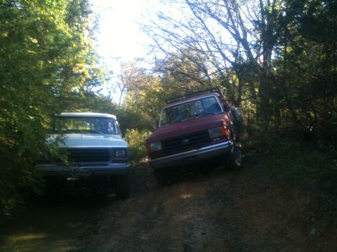 1978 Ford Bronco - Two Ford F-150 trucks navigate a muddy, wooded trail.
