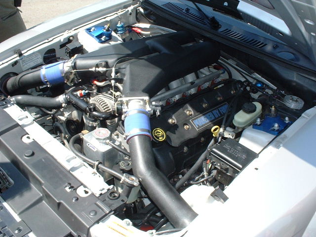 Ford modular V8 engine bay with black charge piping and blue silicone couplers