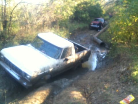 1978 Ford Bronco - Two trucks are stuck in the mud on a dirt track surrounded by trees.