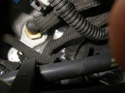 1990 Ford Bronco - Close-up view of engine wiring and a sensor, with braided sleeving and black protective conduits.