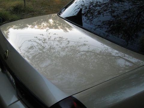 2000 Mercury Grand Marquis - Rear view of a 2000 Mercury Grand Marquis with reflections on the trunk and window.