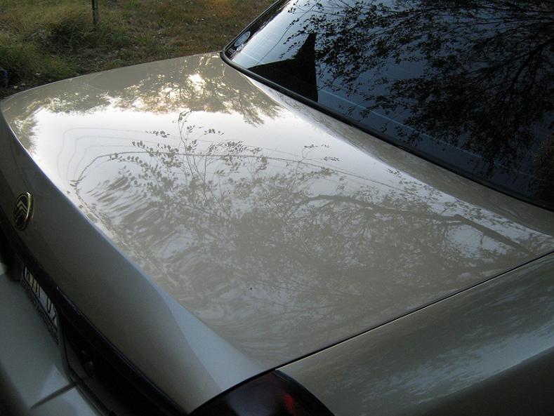 2000 Mercury Grand Marquis trunk lid and rear window showing reflections of trees and sky