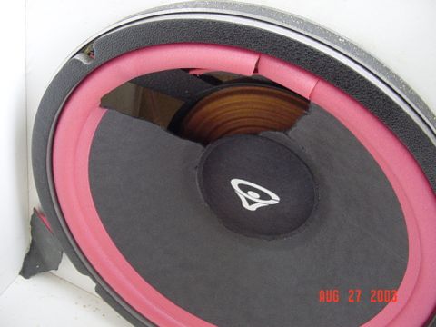 1989 Ford Bronco - Blew the crap out of one of my speakers