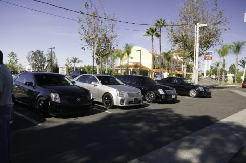 2006 Cadillac STS - Several Cadillacs are parked in a lot on a sunny day, with palm trees and buildings in the background.