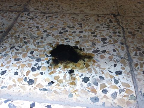 1998 Ford Crown Victoria - A dark fluid has leaked onto the floor, creating a large stain.