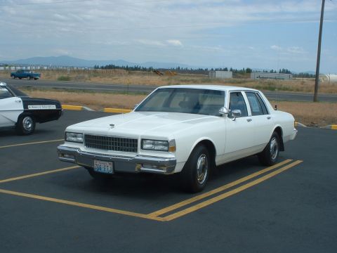 1999 Ford Crown Victoria - A white sedan is parked in a lot next to a police car, with mountains in the background.
