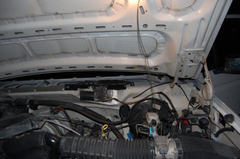 1994 Ford Bronco - The engine bay of a white vehicle is visible with the hood open, revealing various components and wiring.
