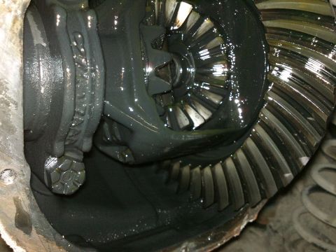 1998 Ford Crown Victoria - The image shows the internal gears of a vehicle's differential, covered in dark grease.
