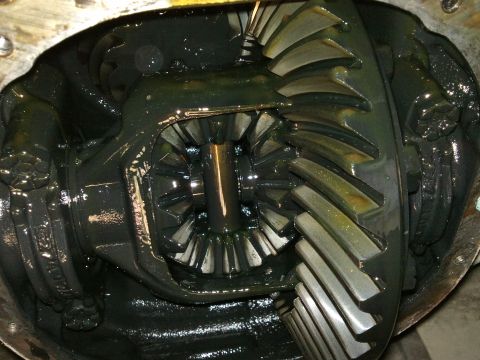 1998 Ford Crown Victoria - Close-up of differential gears, showing lubrication and wear patterns.