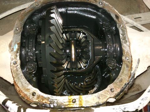 1998 Ford Crown Victoria - Close-up of differential gears, likely from a rear axle assembly.
