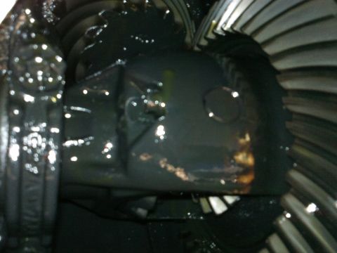1998 Ford Crown Victoria - mr. pinion shaft hold bolt.