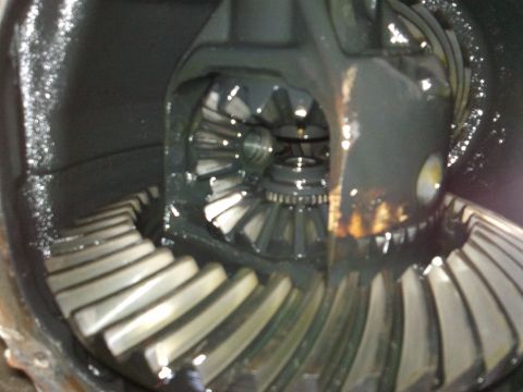 1998 Ford Crown Victoria - Close-up view of internal differential gears, with the Supermotors.net logo visible in the lower right corner.