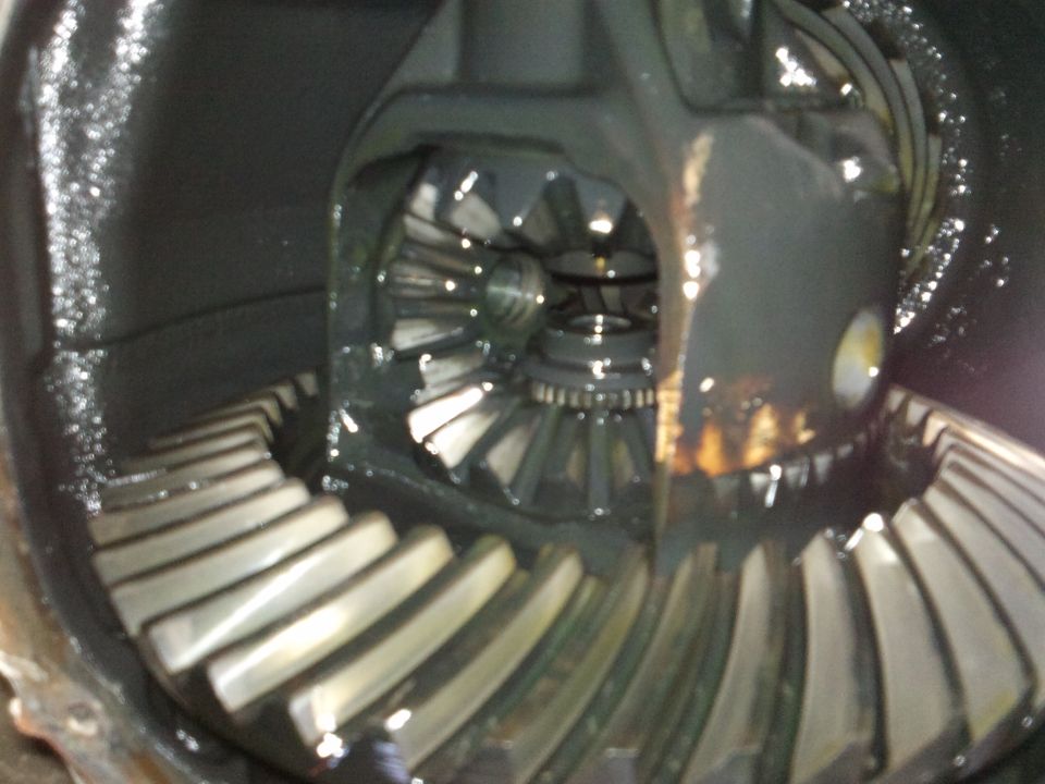 Differential gears with oil, Supermotors.net logo visible