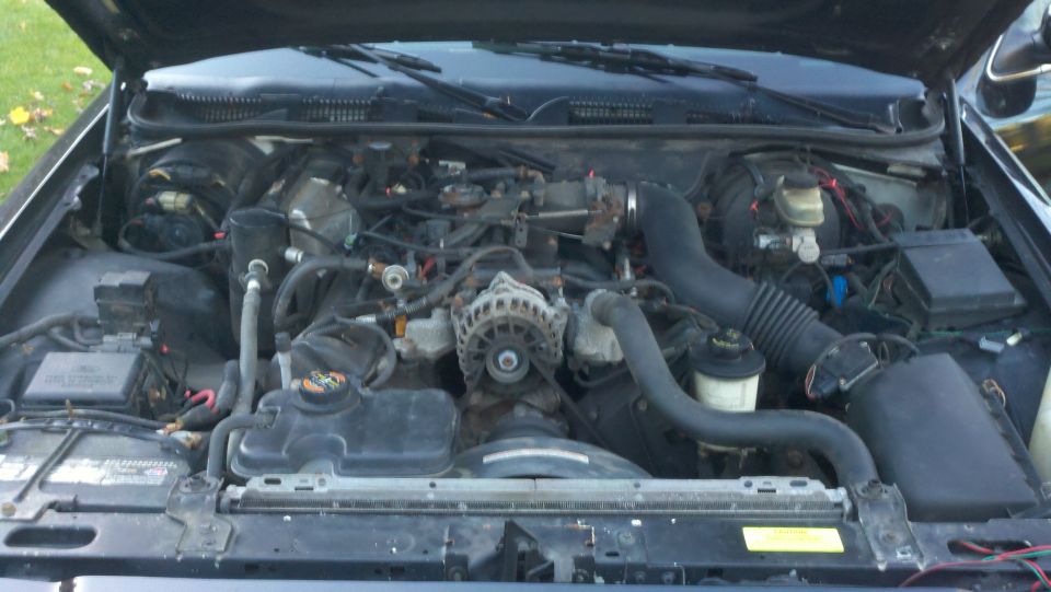 Engine bay of a 1999 Ford Crown Victoria, showing the V8 engine, alternator, and air intake system
