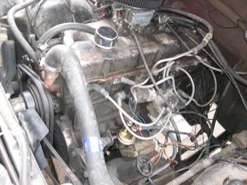 1981 Ford Bronco - Engine before digging in.