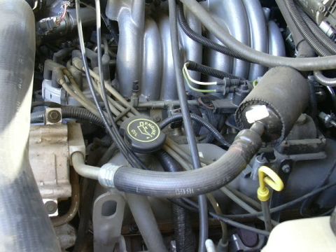 1991 Ford Bronco - Before