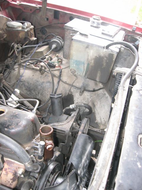 1981 Ford Bronco - Radiator hoses removed.