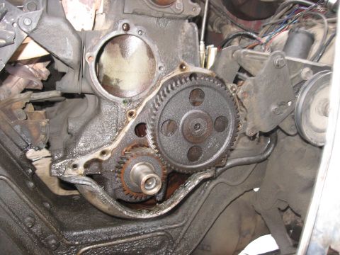 1981 Ford Bronco - They look to be in nice shape.