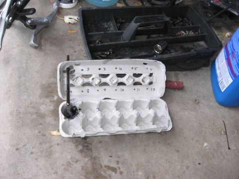 1981 Ford Bronco - Used an egg carton to sort the push rods and valve train components. Works perfectly for a 6 cylinder.