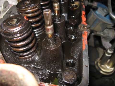 1981 Ford Bronco - Tight macro of an oil-soaked cylinder head top with the rocker arms removed, showing bare valve springs, retainers and a threaded rocker st…